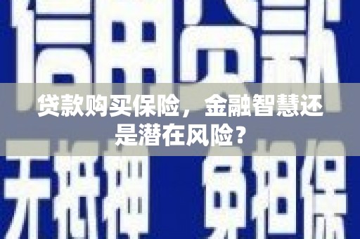 洛宁贷款购买保险，金融智慧还是潜在风险？