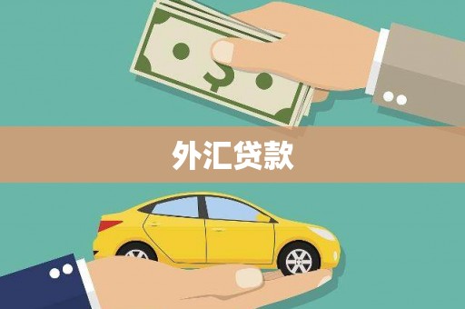 洛宁外汇贷款