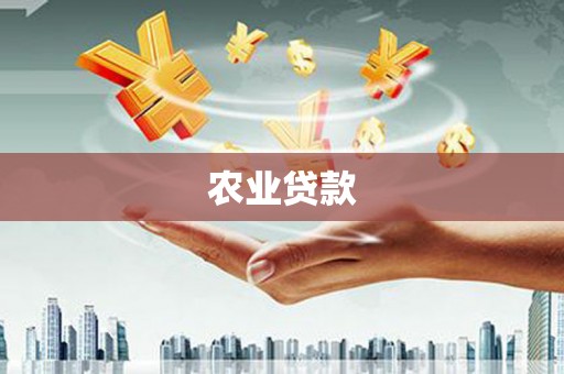 洛宁农业贷款