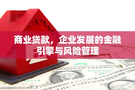 洛宁商业贷款，企业发展的金融引擎与风险管理