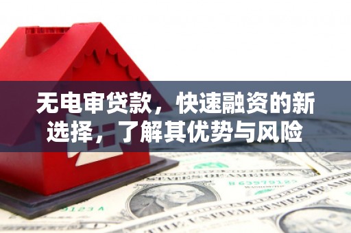 洛宁无电审贷款，快速融资的新选择，了解其优势与风险