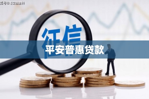 洛宁平安普惠贷款