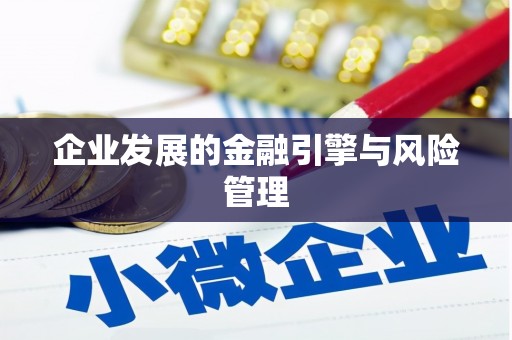 洛宁企业发展的金融引擎与风险管理