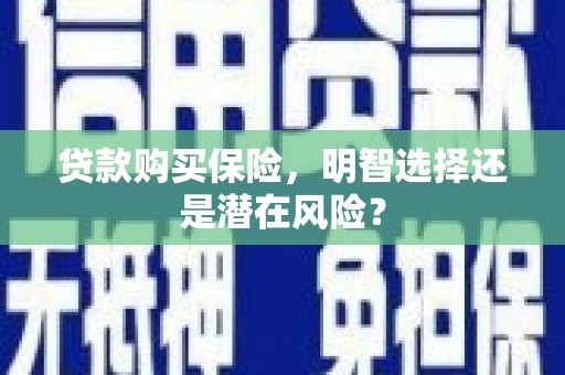 洛宁贷款购买保险，明智选择还是潜在风险？