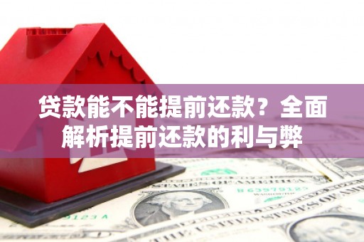 洛宁贷款能不能提前还款？全面解析提前还款的利与弊