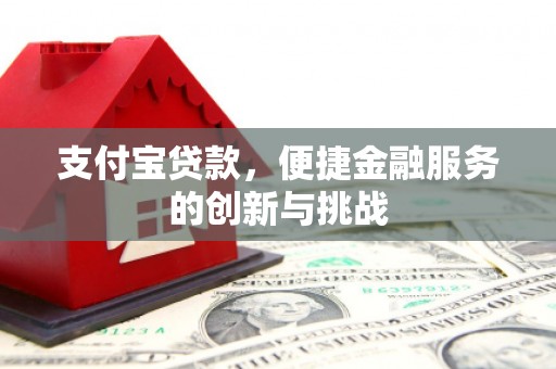 洛宁支付宝贷款，便捷金融服务的创新与挑战