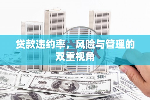 洛宁贷款违约率，风险与管理的双重视角