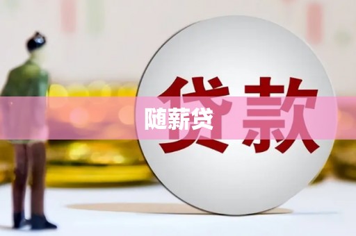 洛宁随薪贷