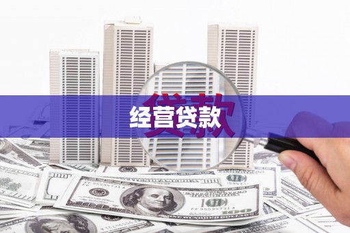 洛宁经营贷款
