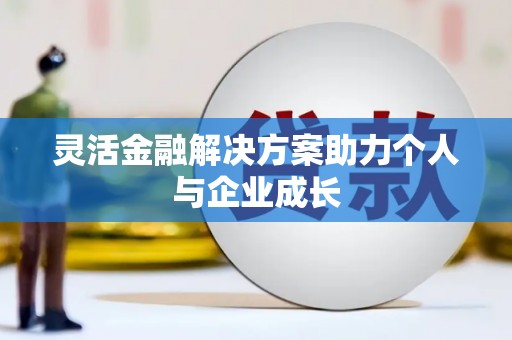 洛宁灵活金融解决方案助力个人与企业成长