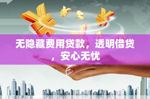 洛宁无隐藏费用贷款，透明借贷，安心无忧