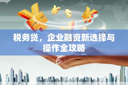 洛宁税务贷，企业融资新选择与操作全攻略