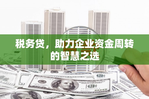 洛宁税务贷，助力企业资金周转的智慧之选