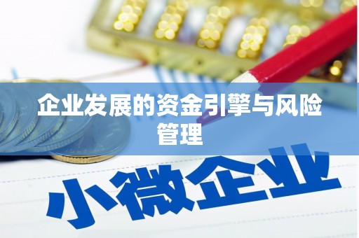 洛宁企业发展的资金引擎与风险管理