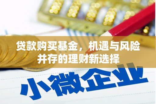 洛宁贷款购买基金，机遇与风险并存的理财新选择