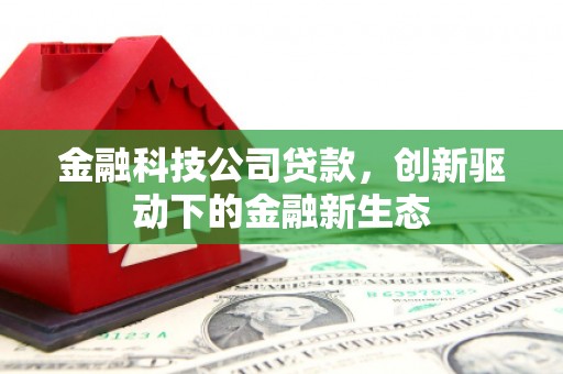 洛宁金融科技公司贷款，创新驱动下的金融新生态