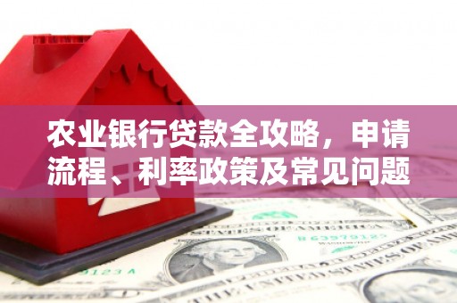 洛宁农业银行贷款全攻略，申请流程、利率政策及常见问题解析