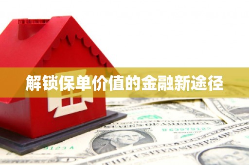 洛宁解锁保单价值的金融新途径