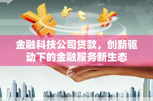 洛宁金融科技公司贷款，创新驱动下的金融服务新生态