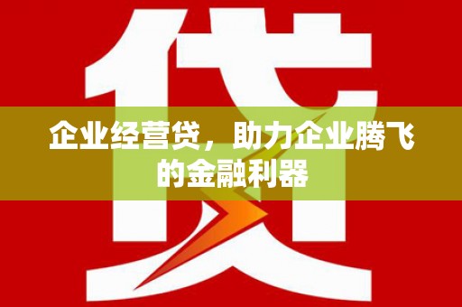 洛宁企业经营贷，助力企业腾飞的金融利器