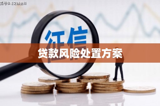 洛宁贷款风险处置方案