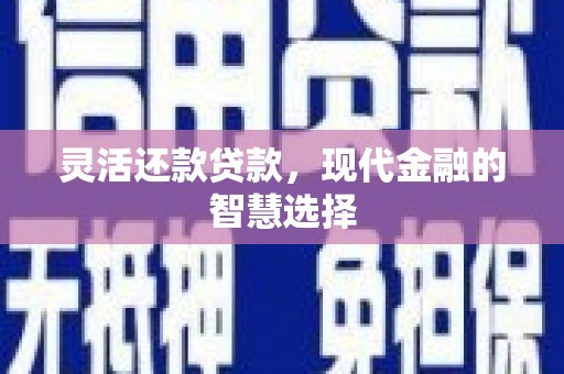 洛宁灵活还款贷款，现代金融的智慧选择