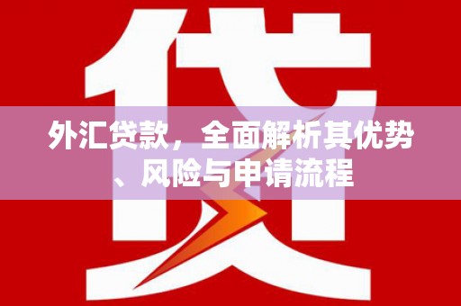 洛宁外汇贷款，全面解析其优势、风险与申请流程