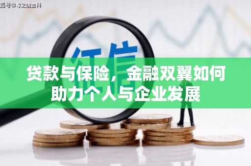 洛宁贷款与保险，金融双翼如何助力个人与企业发展