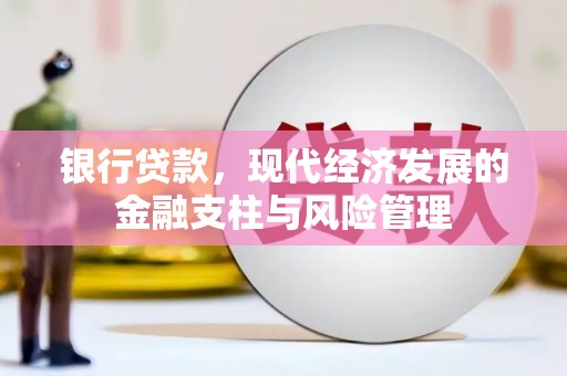 洛宁银行贷款，现代经济发展的金融支柱与风险管理