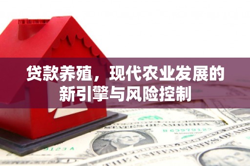 洛宁贷款养殖，现代农业发展的新引擎与风险控制