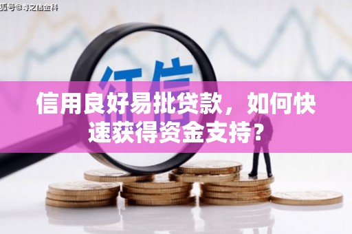 洛宁信用良好易批贷款，如何快速获得资金支持？