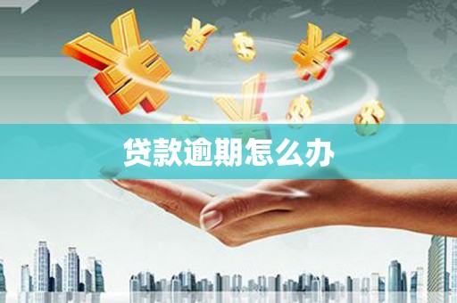 洛宁贷款逾期怎么办