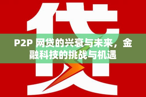 洛宁P2P 网贷的兴衰与未来，金融科技的挑战与机遇