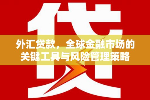 洛宁外汇贷款，全球金融市场的关键工具与风险管理策略