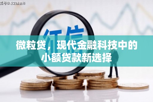 洛宁微粒贷，现代金融科技中的小额贷款新选择