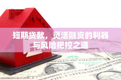 洛宁短期贷款，灵活融资的利器与风险把控之道