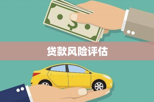 洛宁贷款风险评估