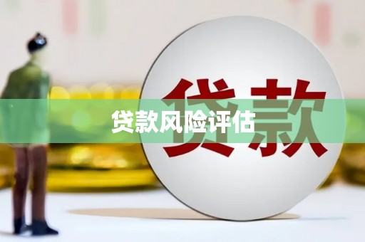 洛宁贷款风险评估