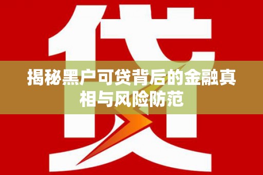 洛宁揭秘黑户可贷背后的金融真相与风险防范
