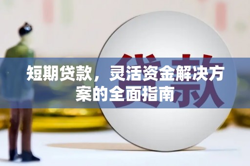 洛宁短期贷款，灵活资金解决方案的全面指南