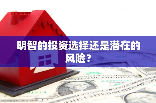 洛宁明智的投资选择还是潜在的风险？