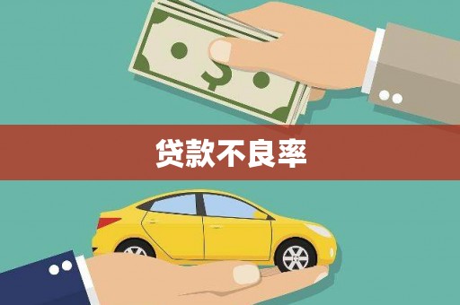 洛宁贷款不良率