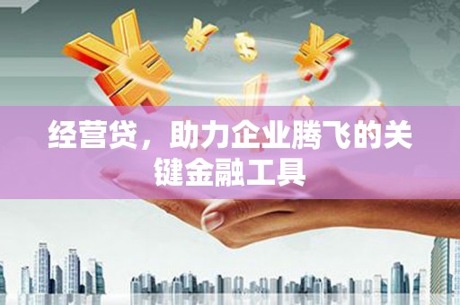 洛宁经营贷，助力企业腾飞的关键金融工具