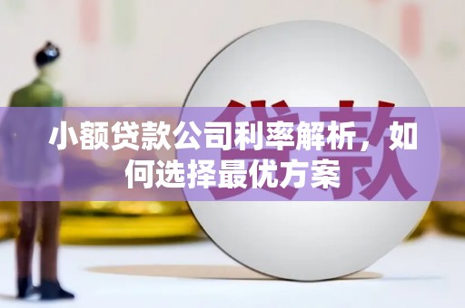 洛宁小额贷款公司利率解析，如何选择最优方案