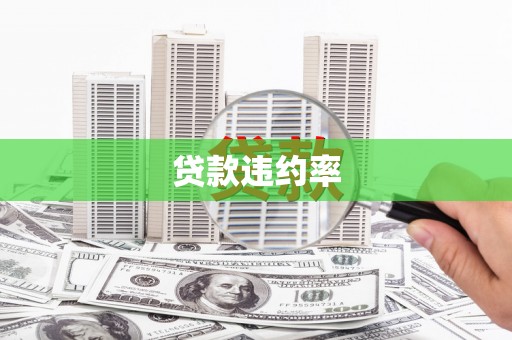 洛宁贷款违约率