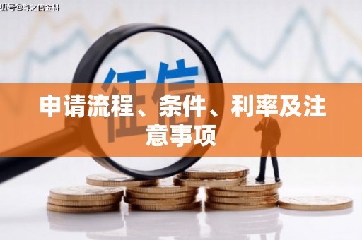 洛宁申请流程、条件、利率及注意事项