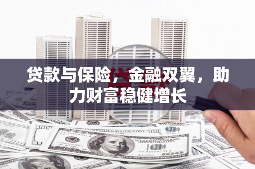 洛宁贷款与保险，金融双翼，助力财富稳健增长