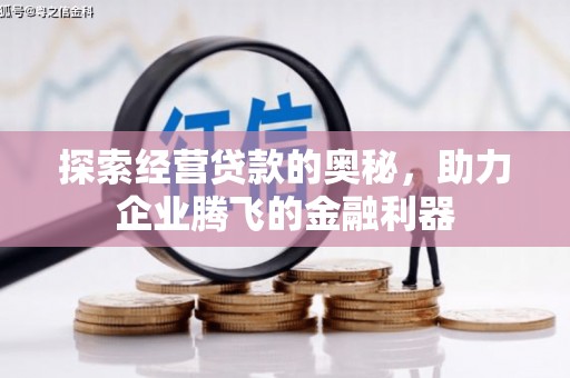 洛宁探索经营贷款的奥秘，助力企业腾飞的金融利器