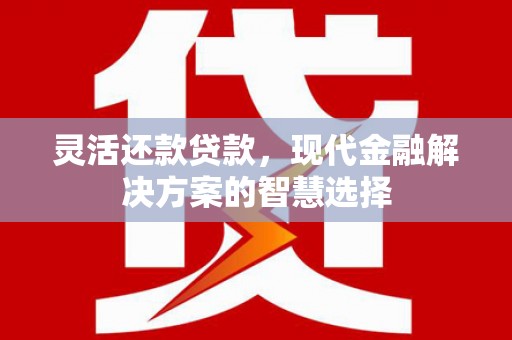 洛宁灵活还款贷款，现代金融解决方案的智慧选择