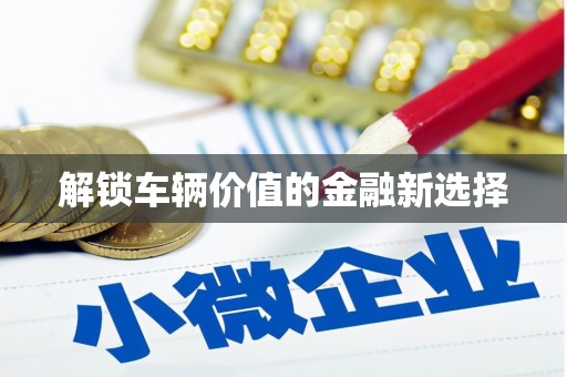 洛宁解锁车辆价值的金融新选择